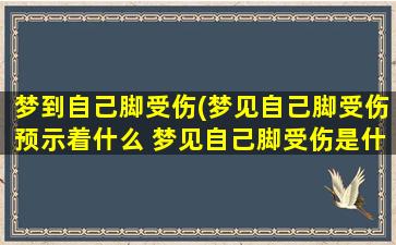 梦到自己脚受伤(梦见自己脚受伤预示着什么 梦见自己脚受伤是什么意思)